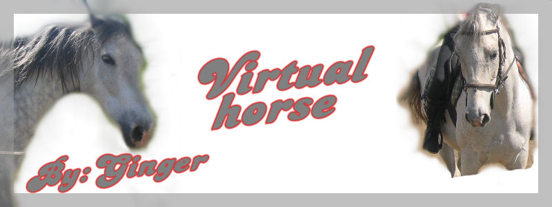 Virtual horse!-Lovas szerepjtk!